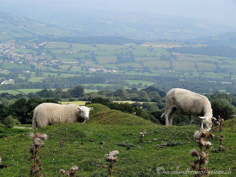 2013-Wales-8.jpg